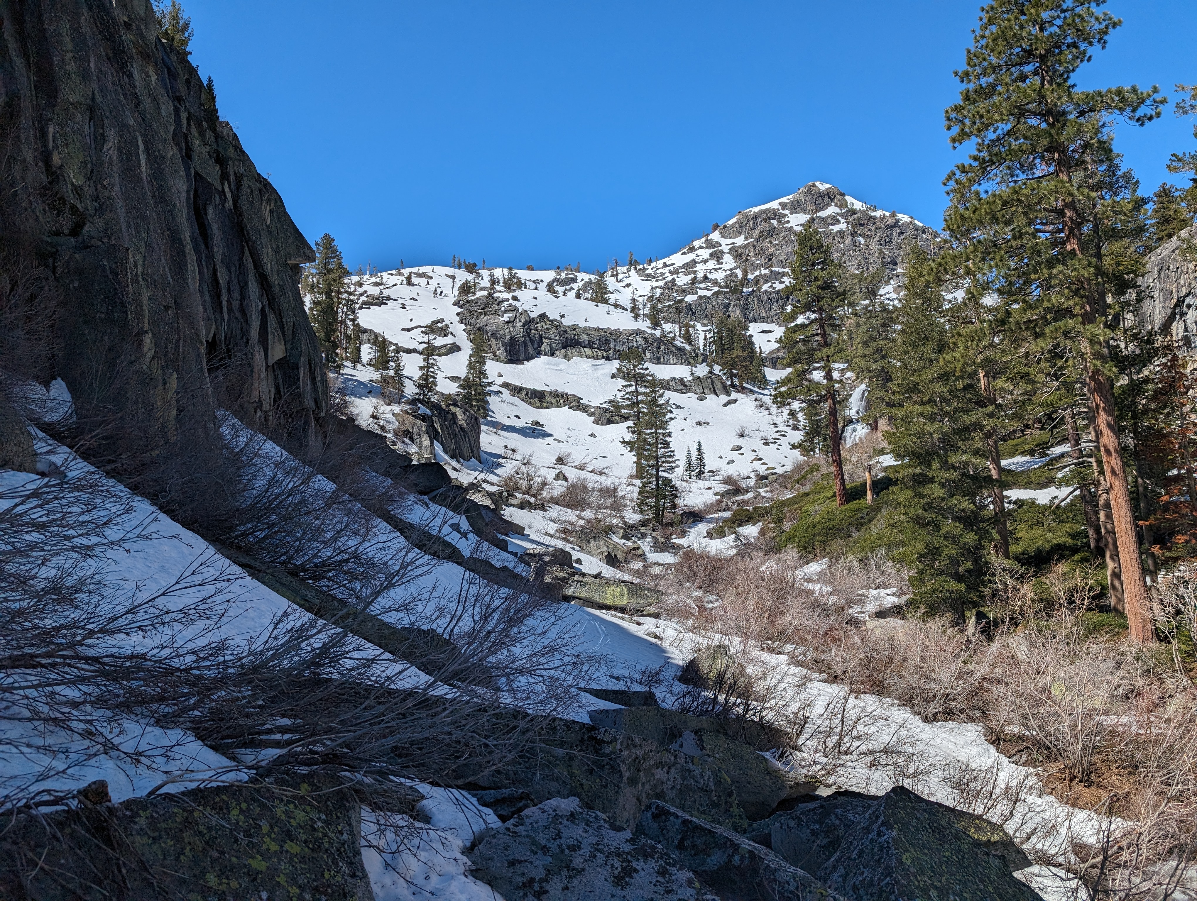 Looking back at the hellish bushwhack canyon