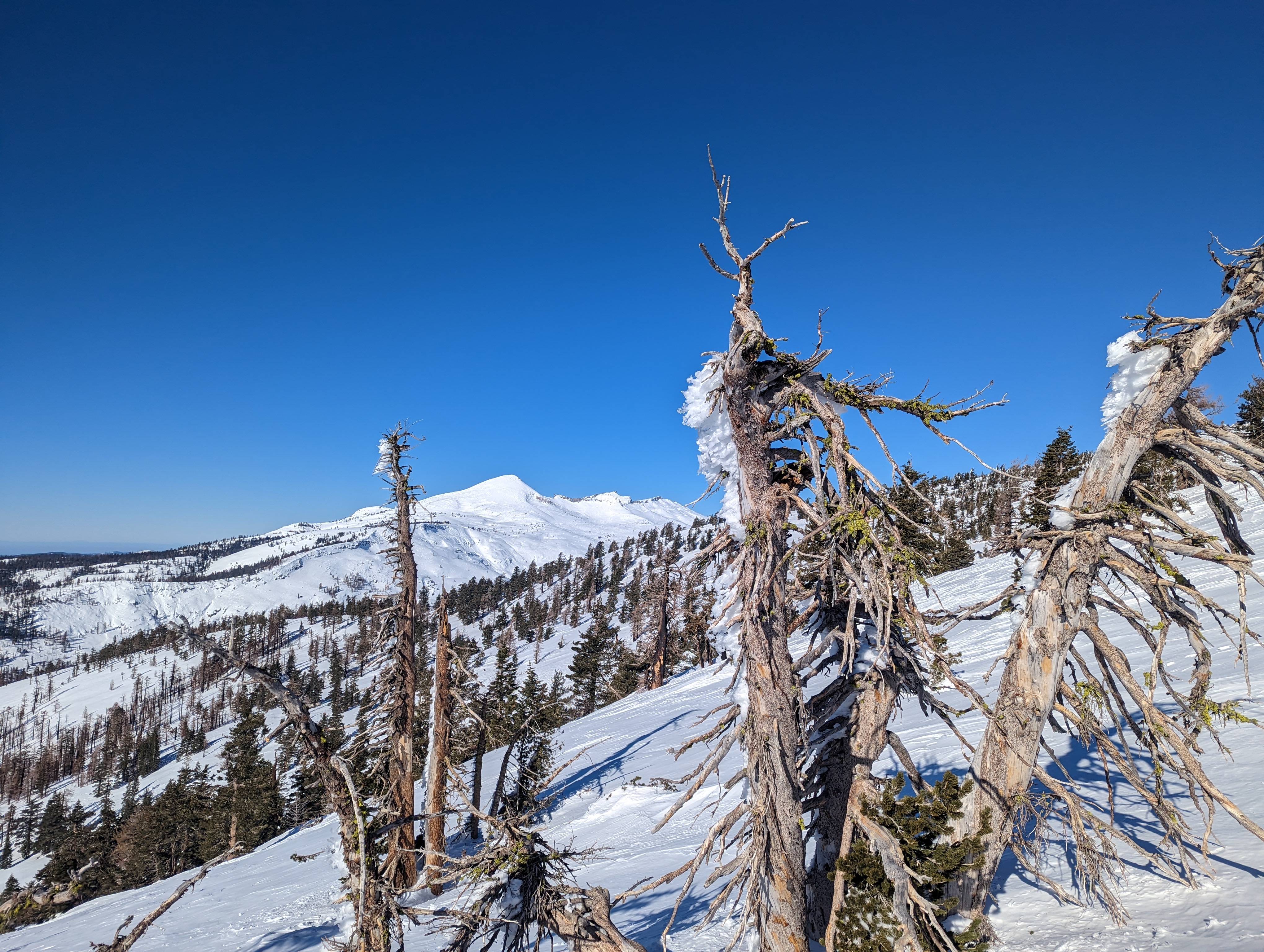 The Crystal Range