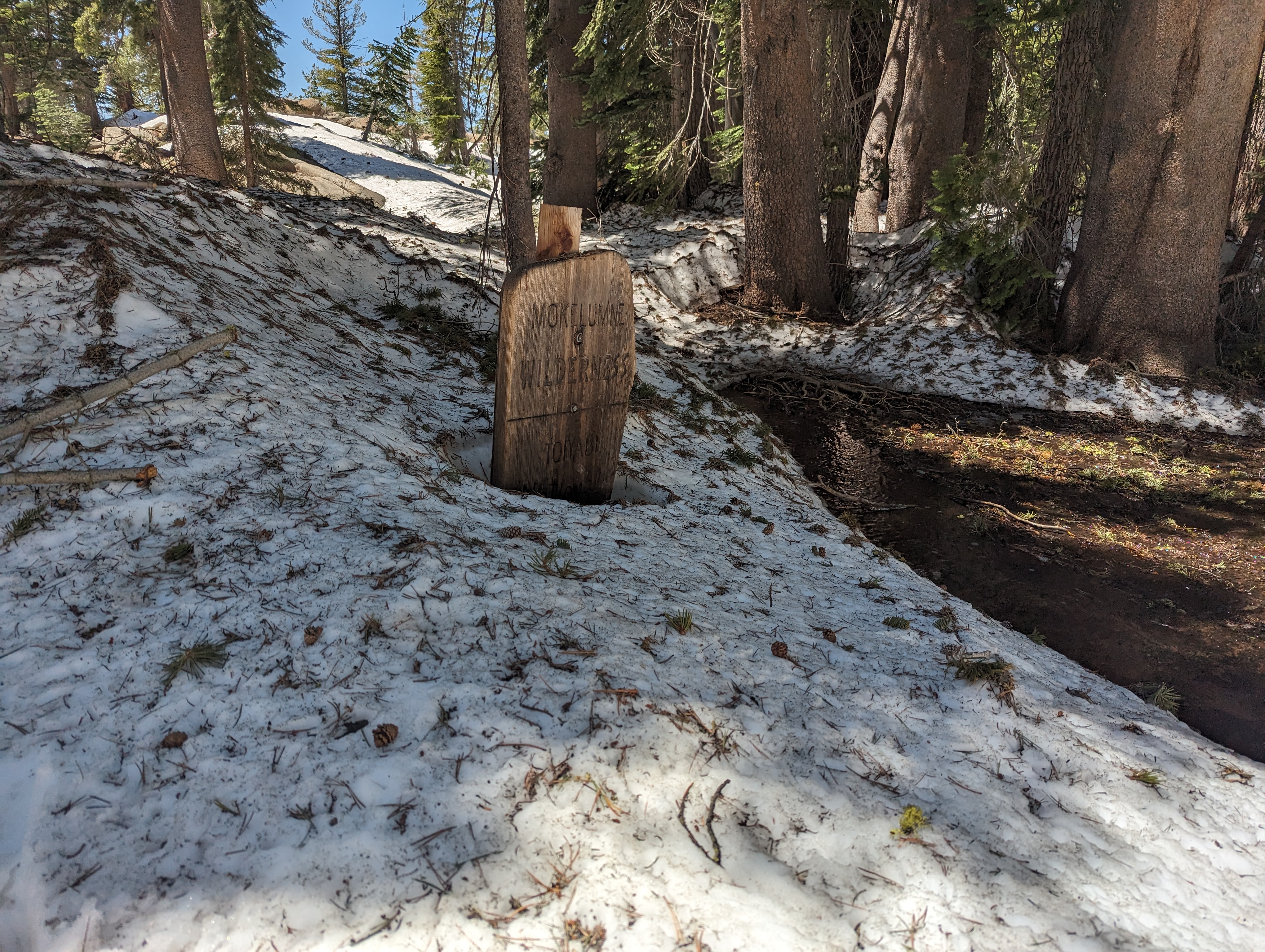 Still lots of snow in the trees for July