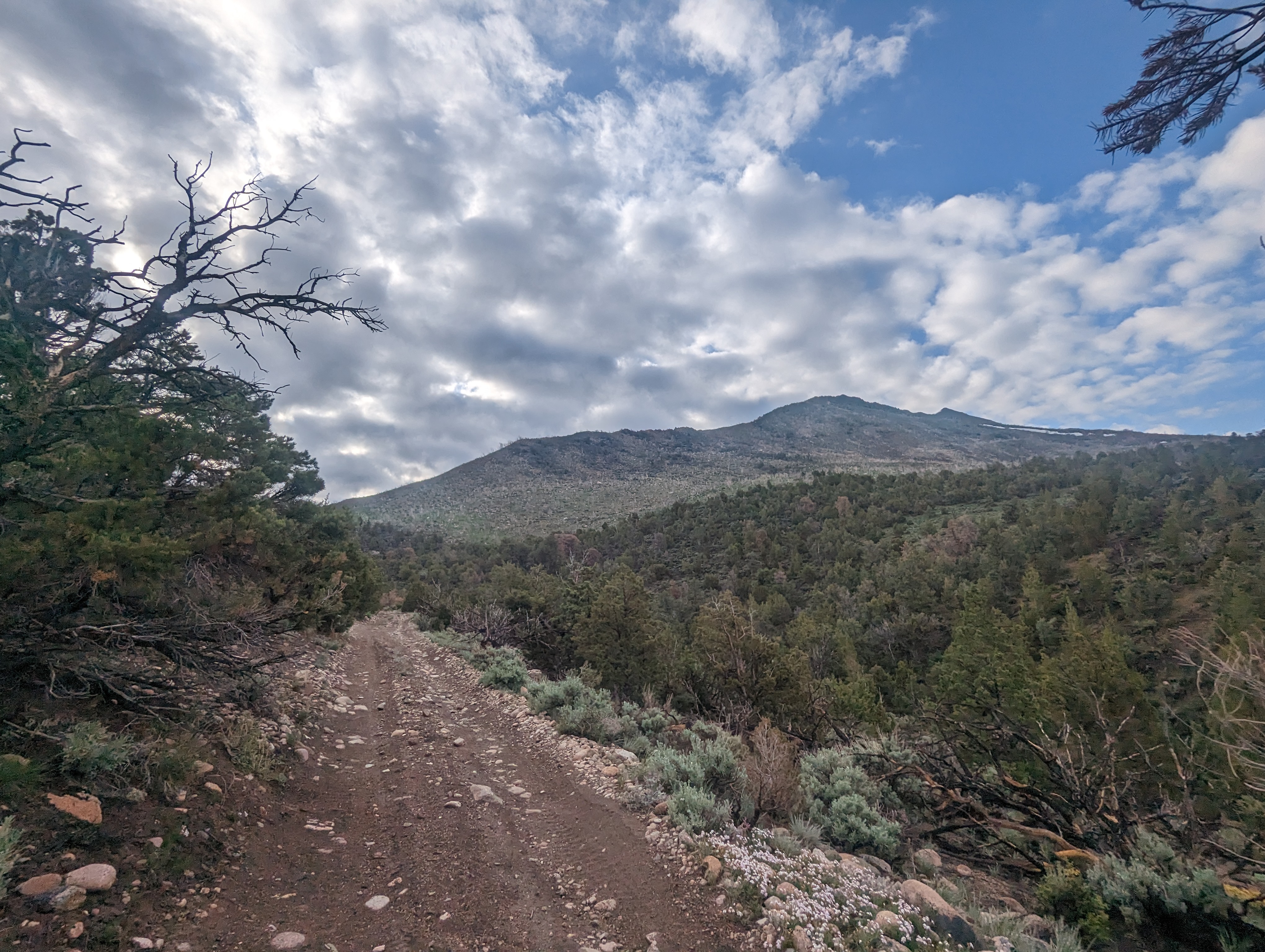 Mt Siegel&rsquo;s Ridge