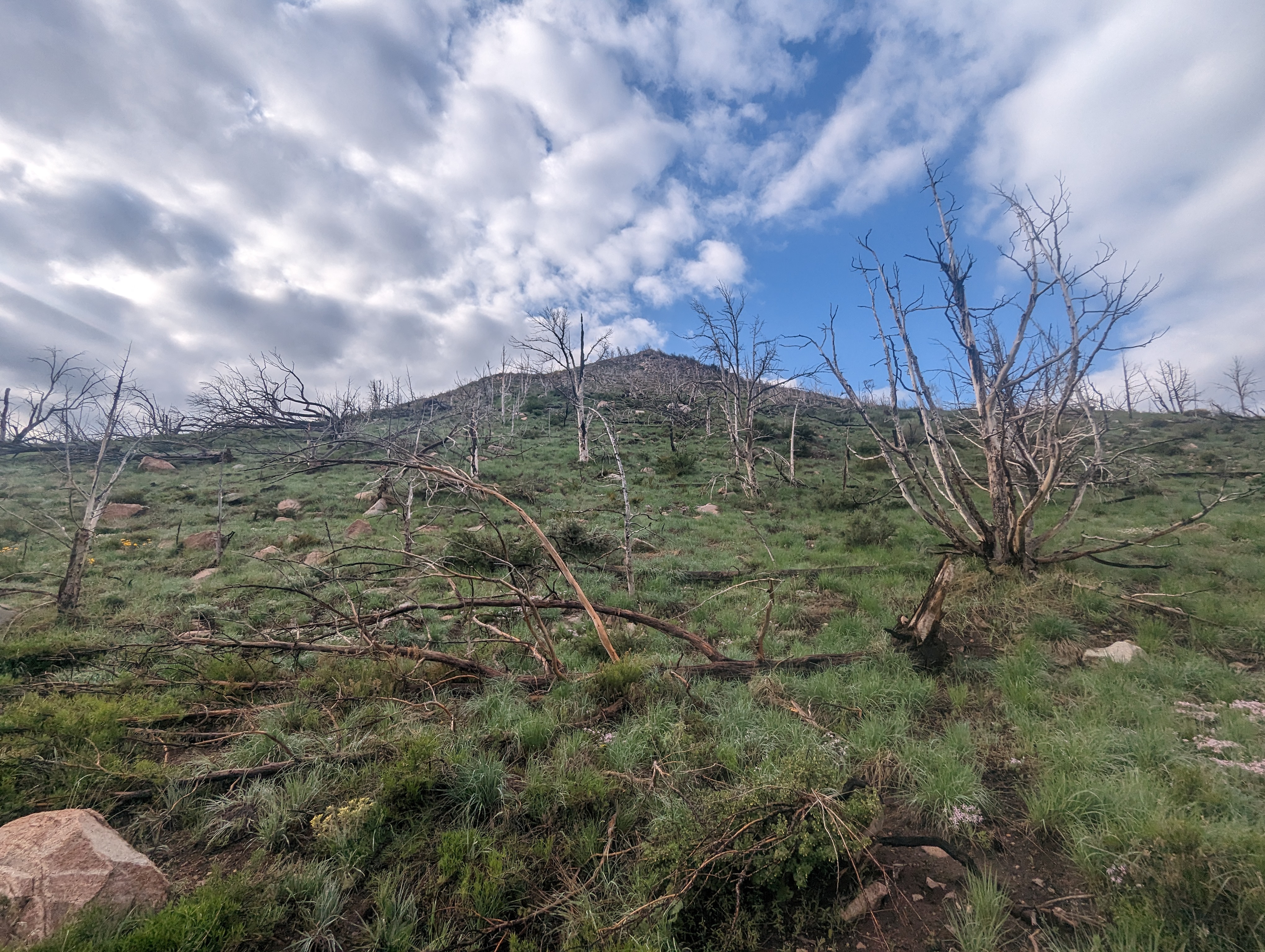 Wet grass on the bottom of the ridge