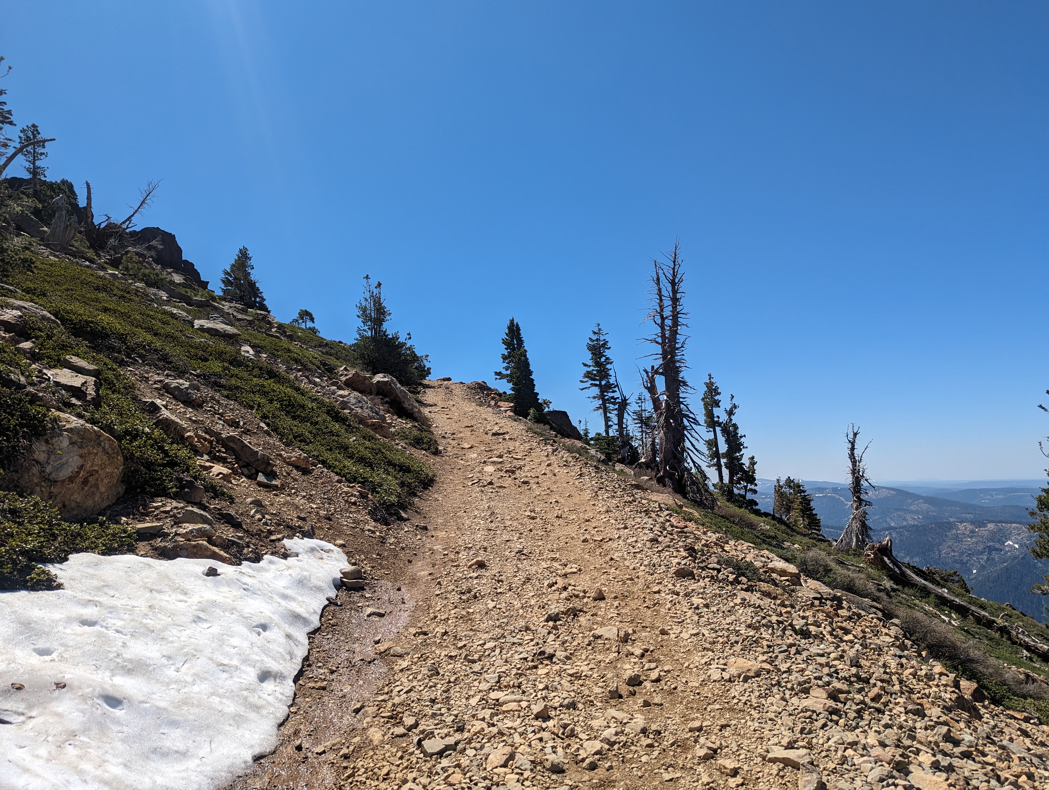 The fire road leading to the summit