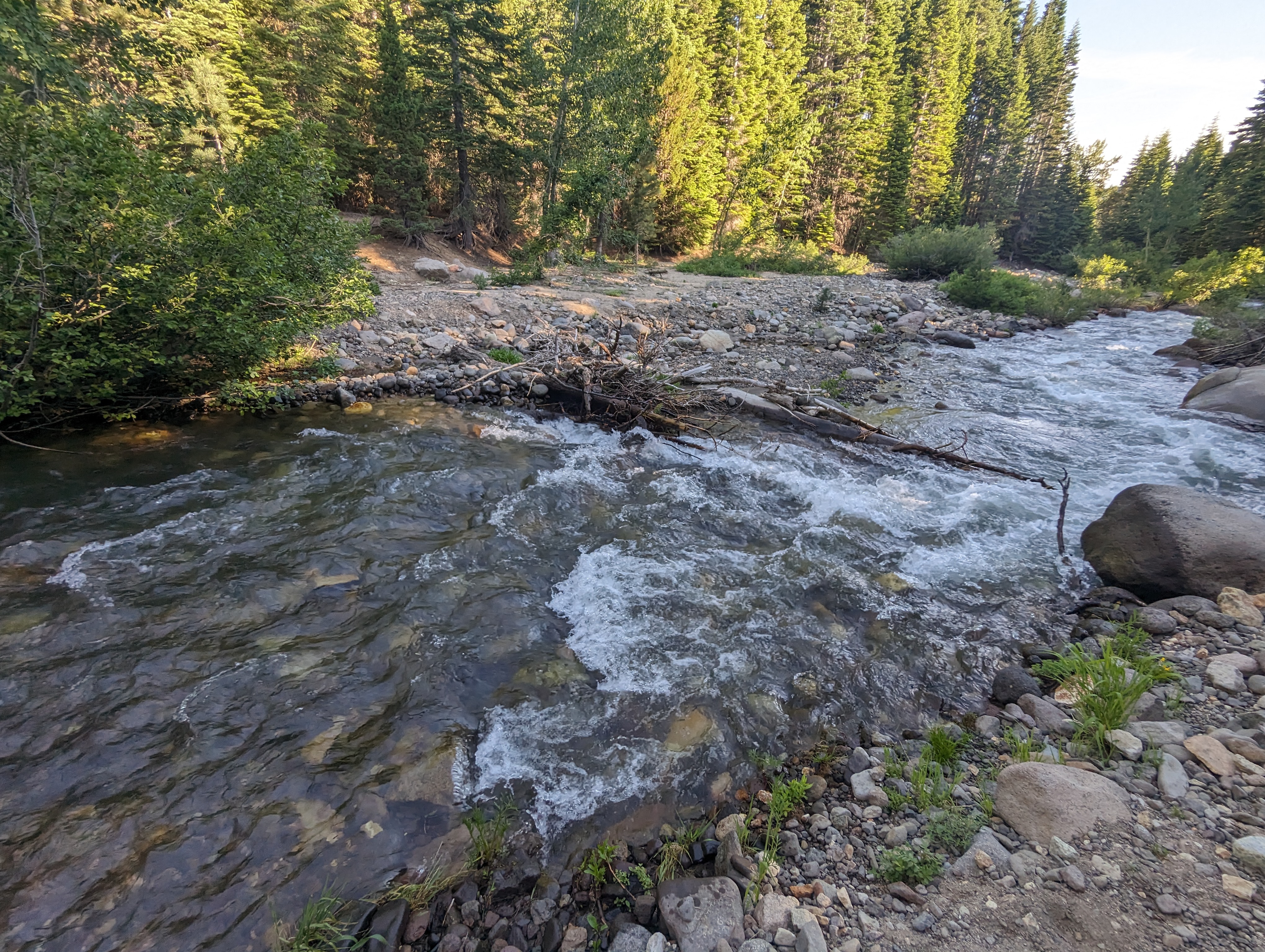 Creek Crossing