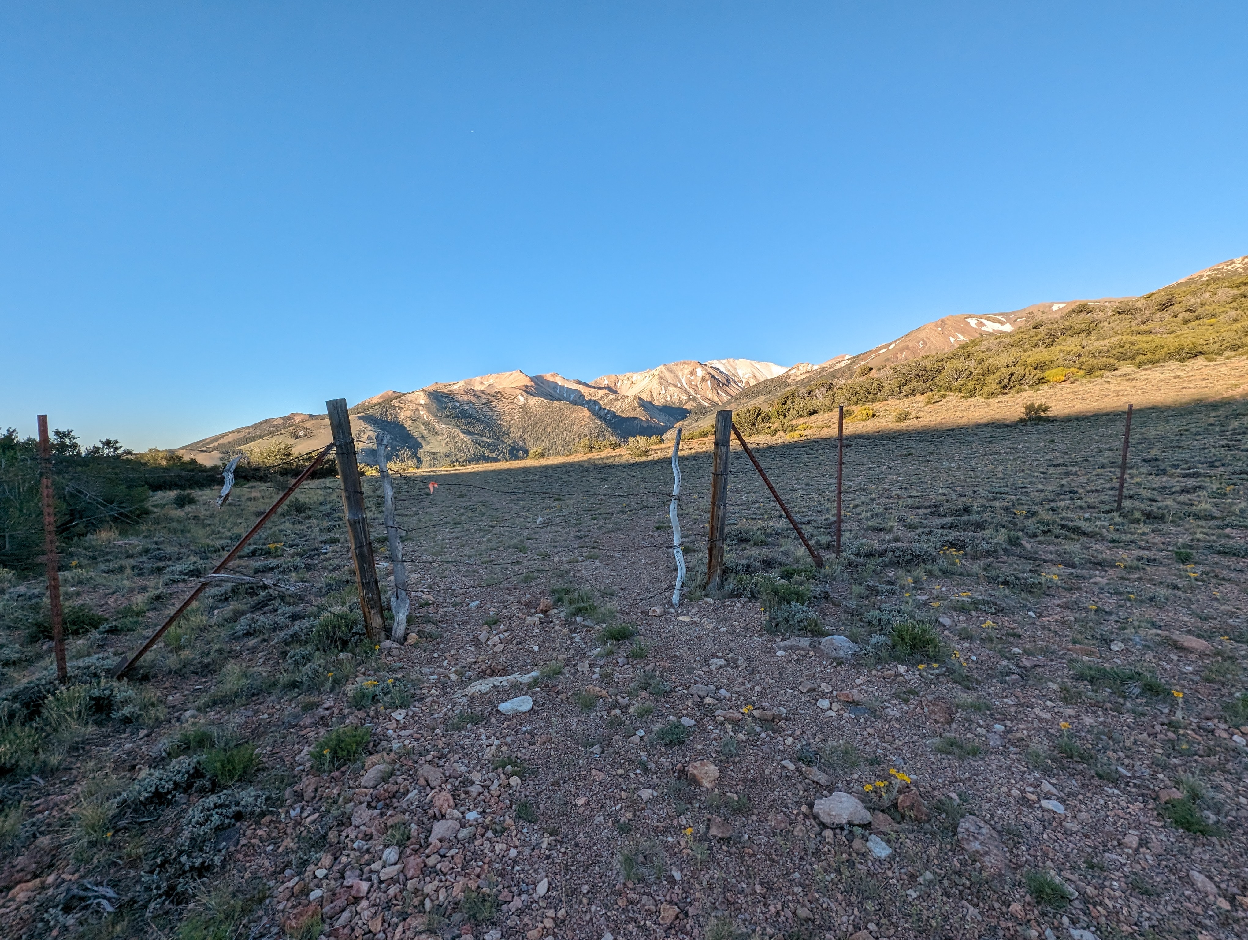 A rustic gate at the saddle, Mount Patterson in the background