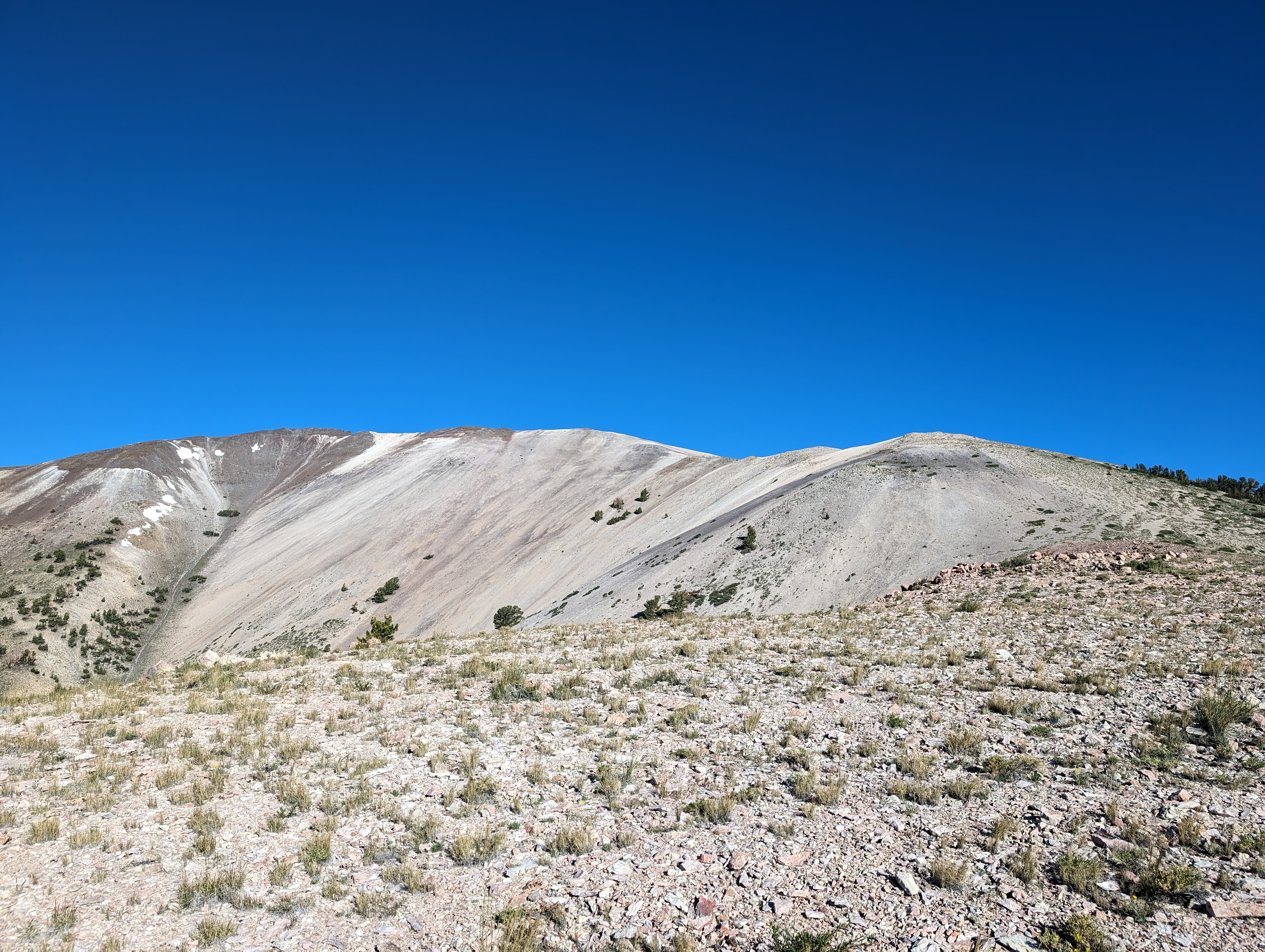 Looking up the ridge