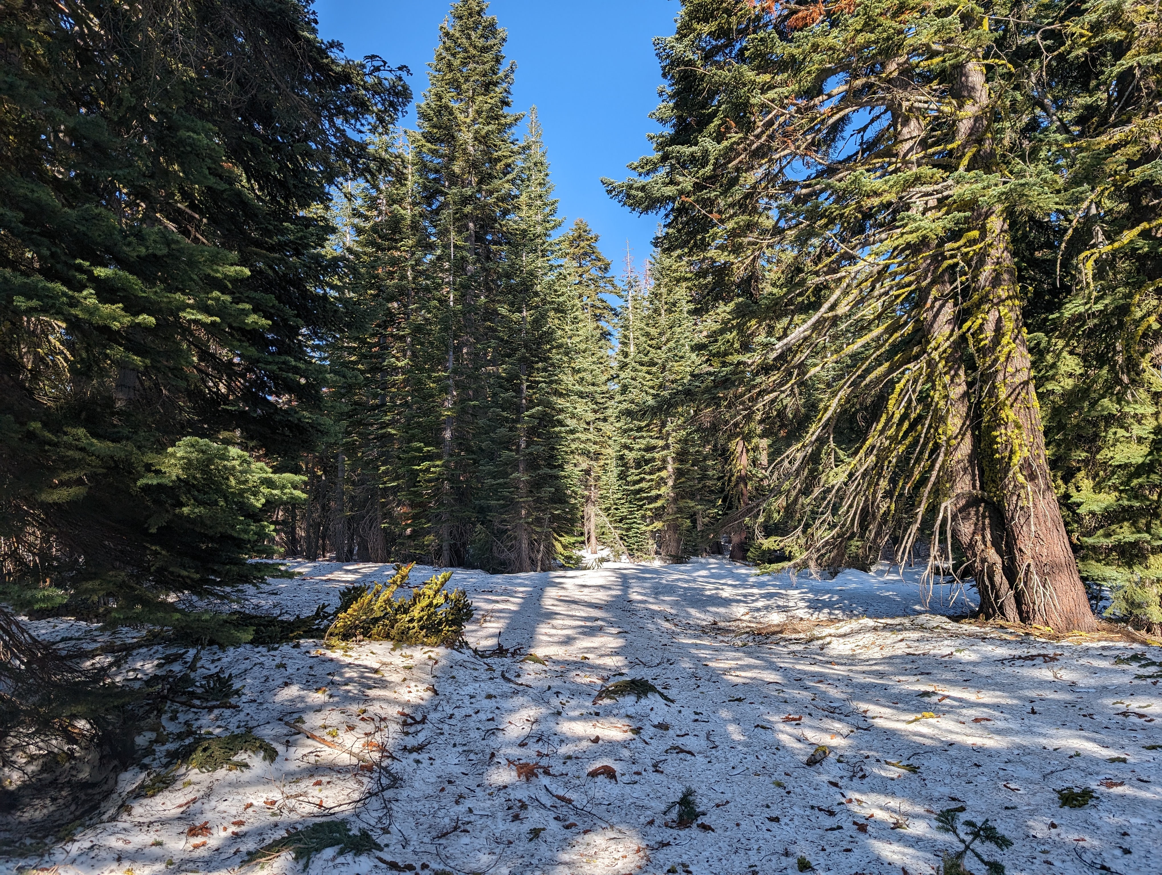 The snow coverage did get much better atop the ridge