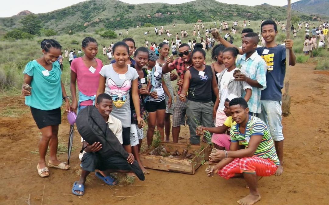 Mandritsara Tree Nursery Project – Madagascar