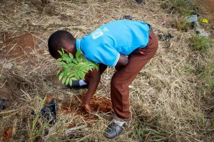 Conclusion of Call to Nature Permaculture Tree Planting Project - Ghana