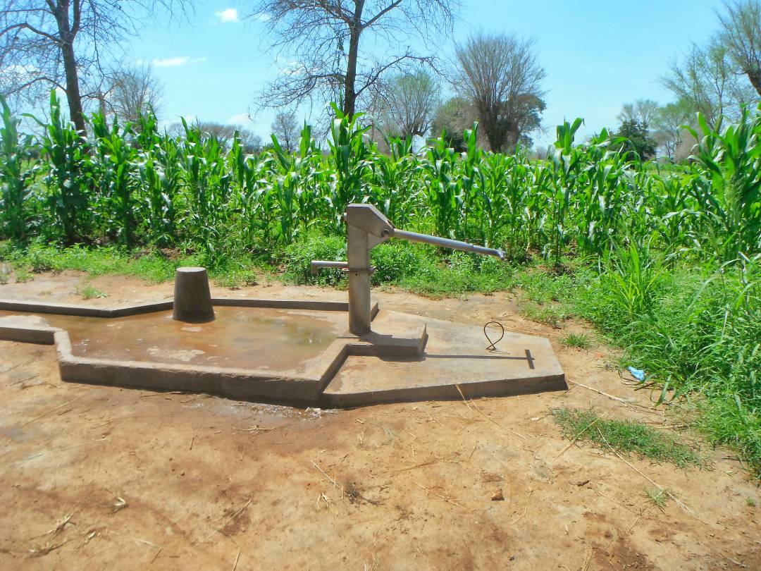 Salima District Well Repairs Project - Malawi