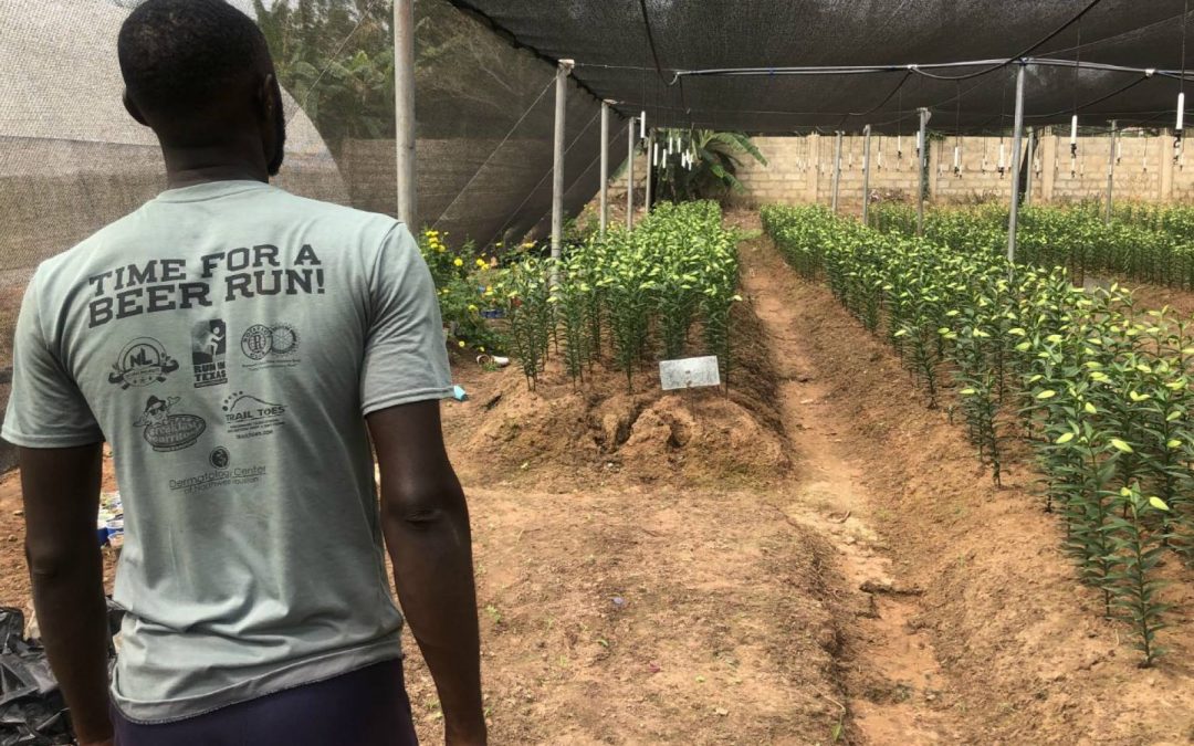 Kua Training Center Borehole Project – Ghana