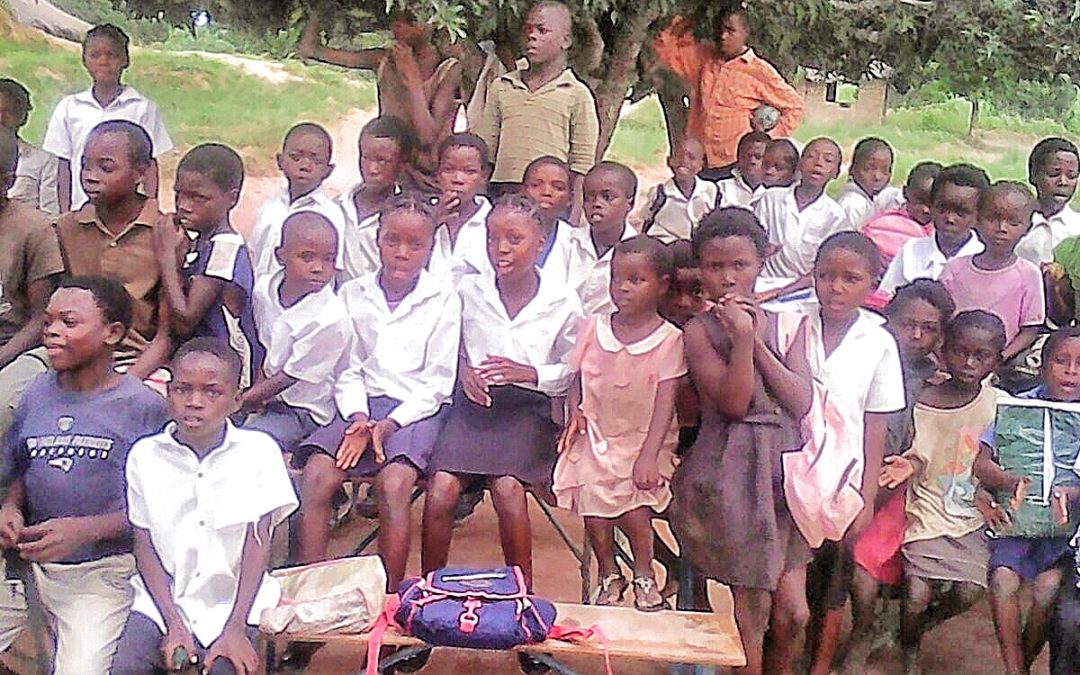 Chisongo Primary School Water Project – Zambia