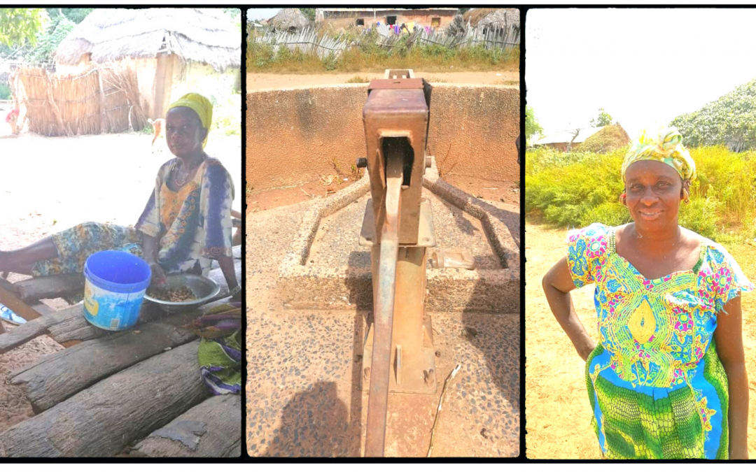 Nianija Handpump Repair and Handwashing Tour—The Gambia