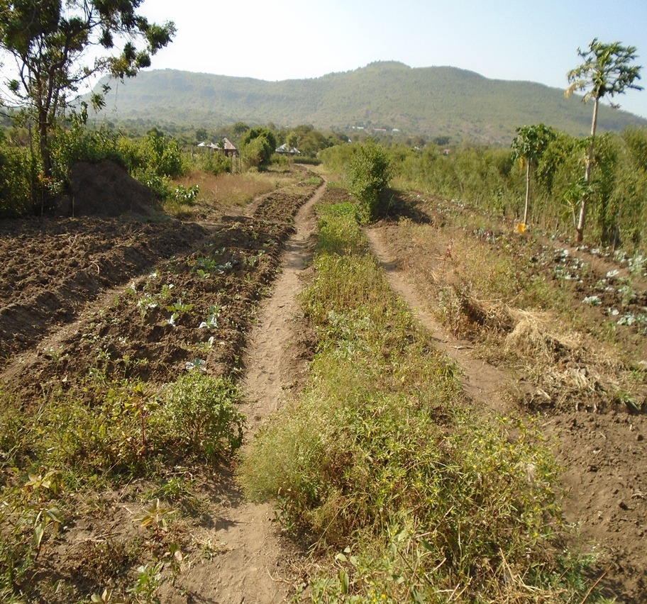 Rusinga Island