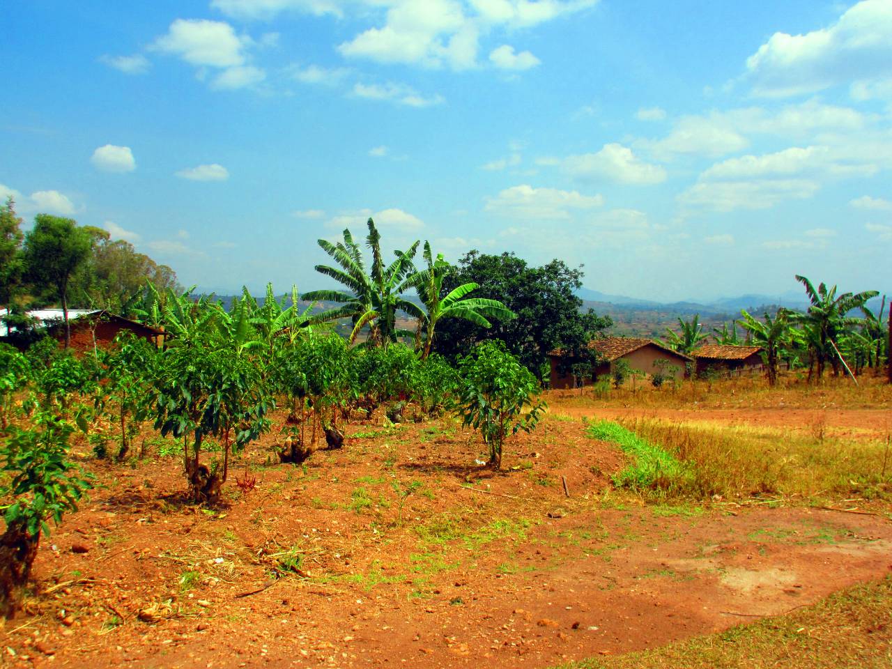 Mara Cell Water System Project - Rwanda