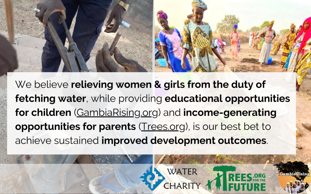 WASH FOR DEVELOPMENT VIA NONPROFIT PARTNERSHIPS – Water Charity – The Gambia