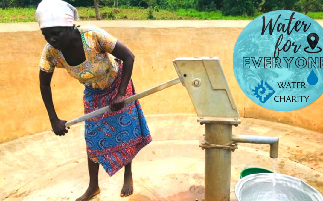 Water For Everyone—Togo