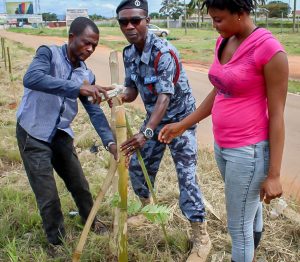 Conclusion of Call to Nature Permaculture Tree Planting Project - Ghana