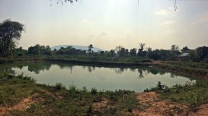 Svay Leu District Water Purification Project, Phase 2 - Cambodia