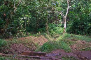 6 Tanks in Mabira Forest - Uganda