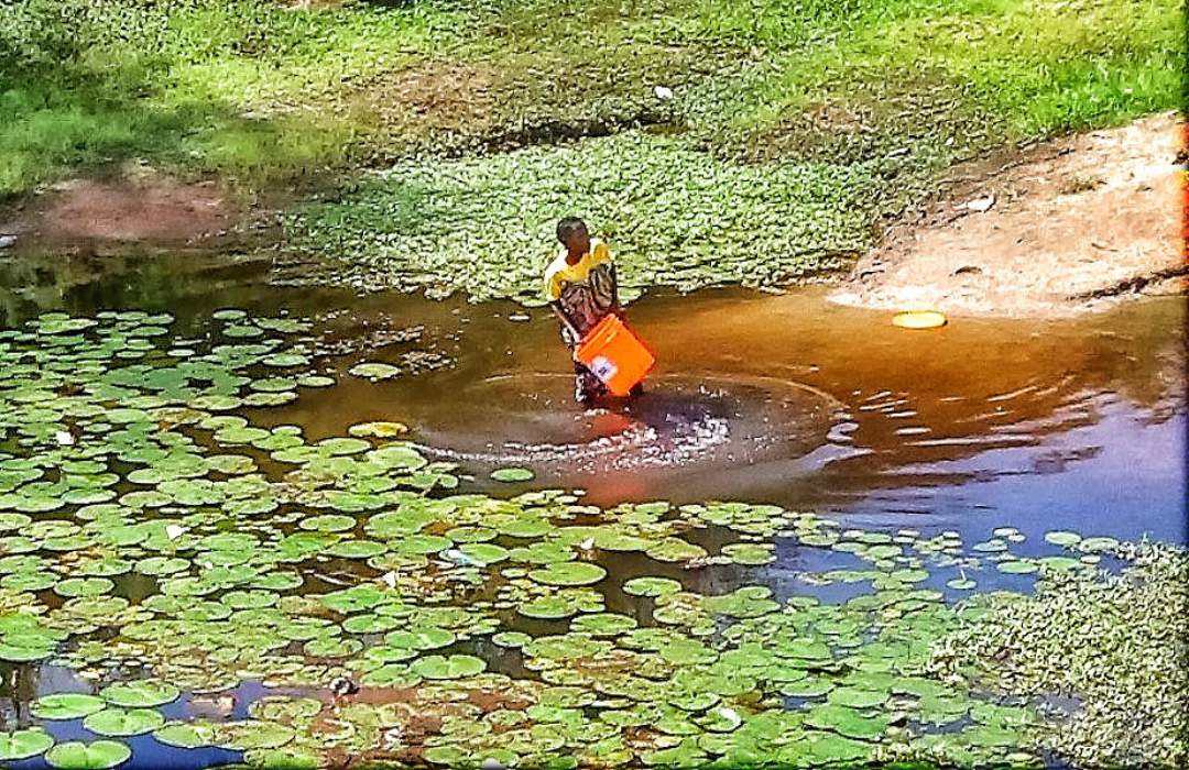 Boy with bucket mid-pond