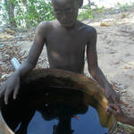 Bendikwai Rainwater Harvesting and Storage Project - Suriname